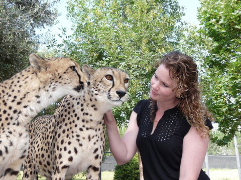 National Zoo & Aquarium - Kingaroy Accommodation 1
