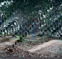Nerang Mountain Bike Trails - Kingaroy Accommodation