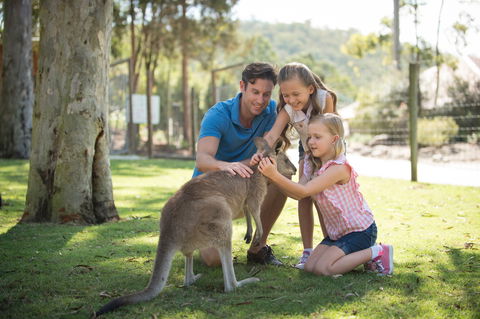 Paradise Country - Kingaroy Accommodation 2