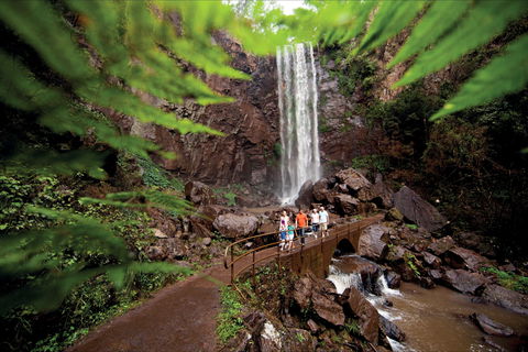 Queen Mary Falls Circuit, Main Range National Park - Kingaroy Accommodation 0