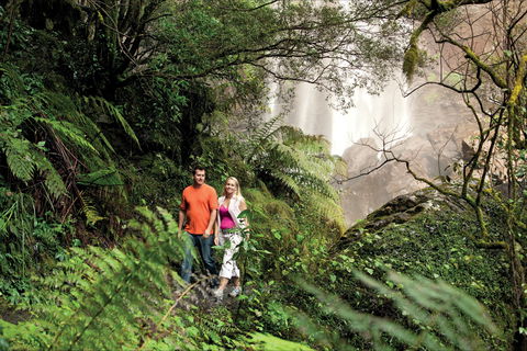 Queen Mary Falls Circuit, Main Range National Park - Kingaroy Accommodation 2