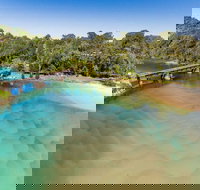 Reflections Boambee Creek Reserve