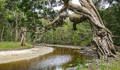 Saltwater National Park - Kingaroy Accommodation 0