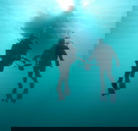 The Arches Marine Sanctuary - Kingaroy Accommodation