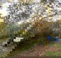 Yarrangobilly Caves  River walk - Kingaroy Accommodation