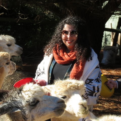Alpaca Farm Experience At Crookwell - Kingaroy Accommodation 1