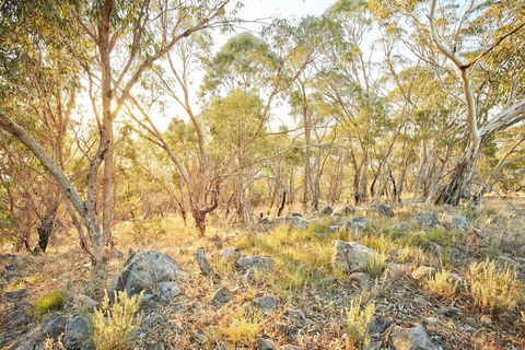 Alpine Views Walk - Kingaroy Accommodation 0