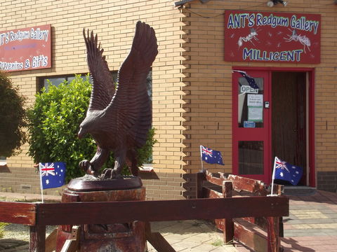 Ant's Redgum Gallery - Kingaroy Accommodation 0