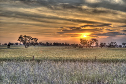 Ardlethan - Kingaroy Accommodation 2