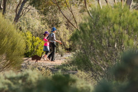 Australian Arid Lands Botanic Garden - Kingaroy Accommodation 0