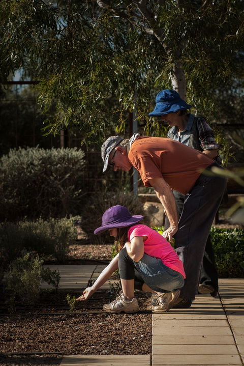 Australian Arid Lands Botanic Garden - Kingaroy Accommodation 1