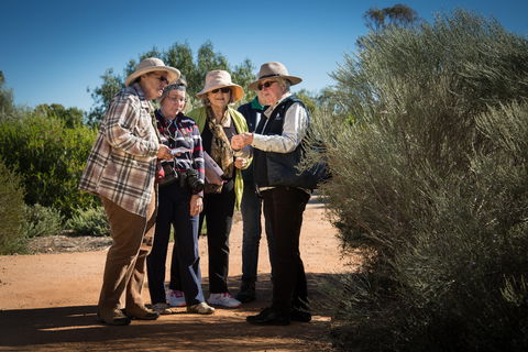 Australian Arid Lands Botanic Garden - Kingaroy Accommodation 2