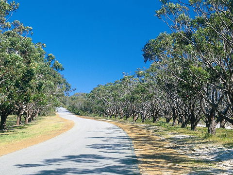 Avenue Of Honour - Kingaroy Accommodation 1