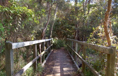Awaba Bay Foreshore Walk - Kingaroy Accommodation 0