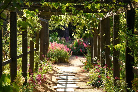 Buda Historic Home & Garden - Kingaroy Accommodation 2