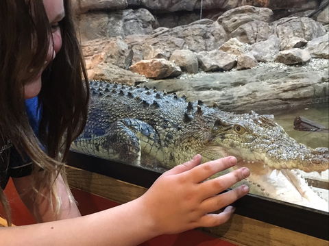 Canberra Reptile Zoo - Kingaroy Accommodation 0