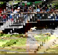 Crocodylus Park and Zoo - Kingaroy Accommodation