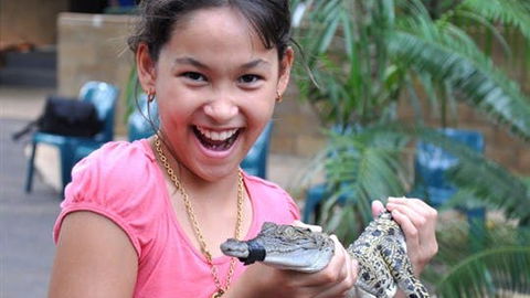 Crocodylus Park And Zoo - Kingaroy Accommodation 1