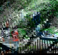 Curtis Falls track Tamborine National Park