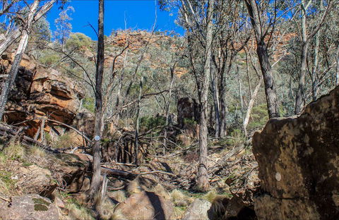 Eualdrie Walking Track - Kingaroy Accommodation 0