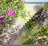 Fort Bribie - Kingaroy Accommodation
