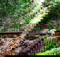 George Brown Darwin Botanic Gardens - Kingaroy Accommodation