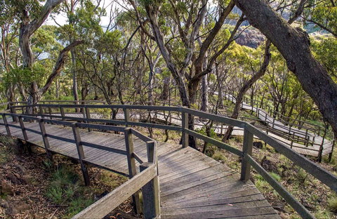Governor Summit (Corrunbral Borawah) Walking Track - Kingaroy Accommodation 0