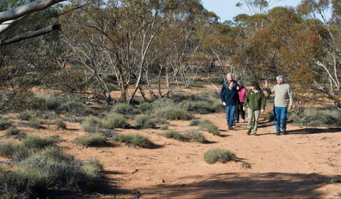 Mallee Stop Walking Track - Kingaroy Accommodation 0