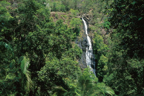 Mapleton Falls National Park - Kingaroy Accommodation 0