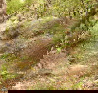 Mount Carnarvon Walking Track - Kingaroy Accommodation