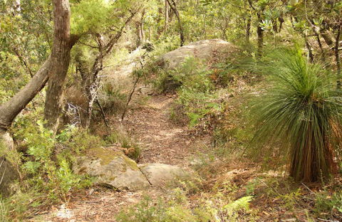 Mount Carnarvon Walking Track - Kingaroy Accommodation 0