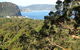 Patonga To Pearl Beach Walking Track - thumb 0