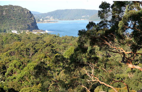 Patonga To Pearl Beach Walking Track - Kingaroy Accommodation 0