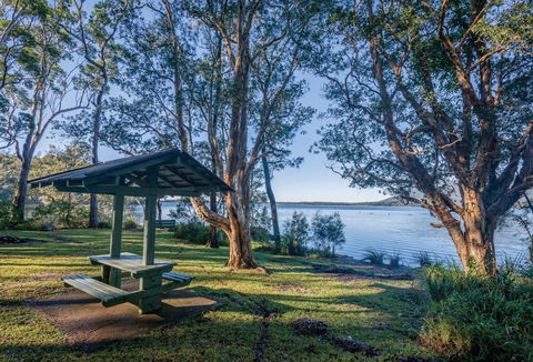 Queens Lake Picnic Area - Kingaroy Accommodation 0