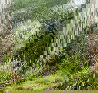 Rosewood loop - Kingaroy Accommodation