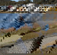 Sculpture Trail at Lake Crackenback Resort and Spa - Kingaroy Accommodation