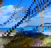 Shark Bay - Kingaroy Accommodation