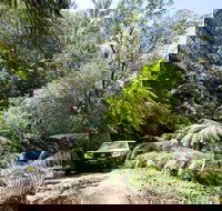 Wadbilliga Road drive - Kingaroy Accommodation