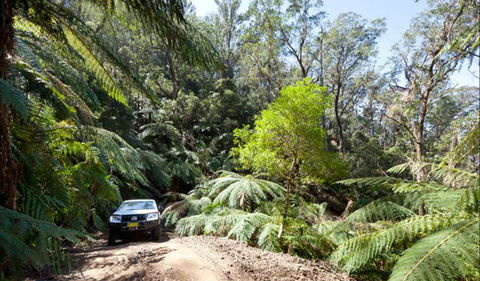 Wadbilliga Road Drive - Kingaroy Accommodation 0