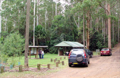 Wallingat Forest Drive - Kingaroy Accommodation 0