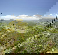 Border Ranges National Park - Kingaroy Accommodation