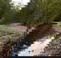 Budawang National Park - Kingaroy Accommodation