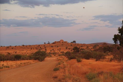 Castle Rock Walk And Lookout - Kingaroy Accommodation 0