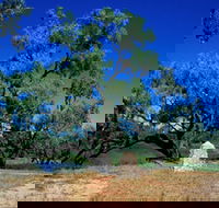 Comet - Kingaroy Accommodation