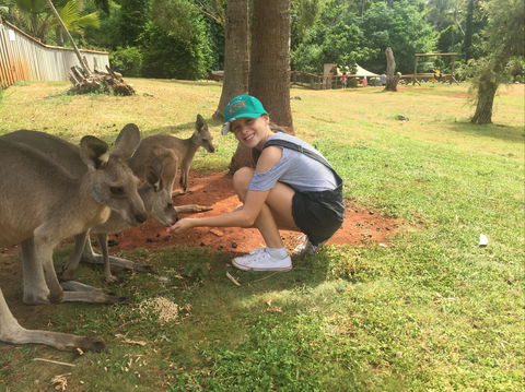 Cooberrie Park Wildlife Sanctuary - Kingaroy Accommodation 1