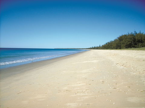 Coral Coast Pathways (Woodgate Beach Section) - Kingaroy Accommodation 0