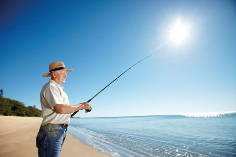 Coral Coast Pathways (Woodgate Beach Section) - Kingaroy Accommodation 1