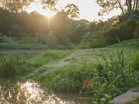 Cribb Park - Kingaroy Accommodation 2