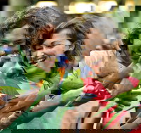 Currumbin Wildlife Sanctuary - Kingaroy Accommodation