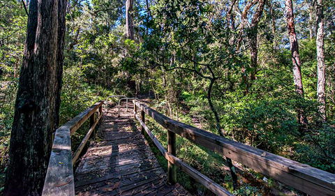 Dawson River Walking Track - Kingaroy Accommodation 0